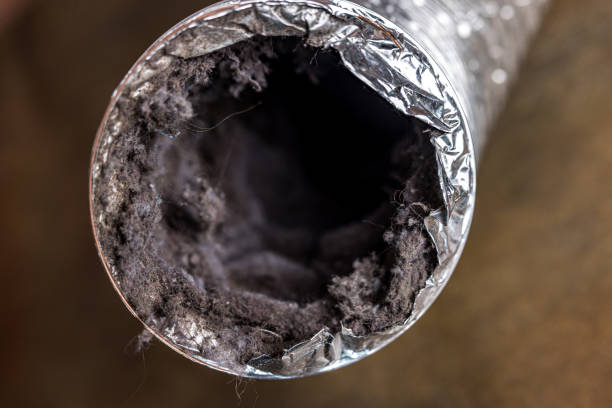 Best Affordable Duct Cleaning Services  in Shady Cove, OR